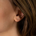 Jewelry Cute Stars | Diamond Earrings | 0.17 Cts. | 14K Gold - earring Zengoda Shop online from Artisan Brands